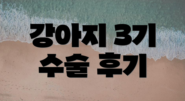 강아지 3기 수술 후기