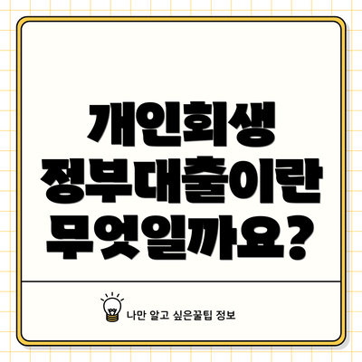 개인회생 정부대출이란 무엇일까요?