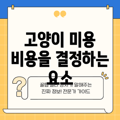 고양이 미용 비용을 결정하는 요소
