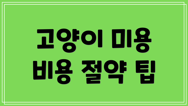 고양이 미용 비용 절약 팁