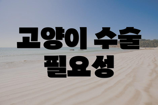 고양이 수술 필요성