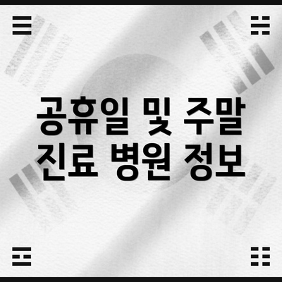 공휴일 및 주말 진료 병원 정보