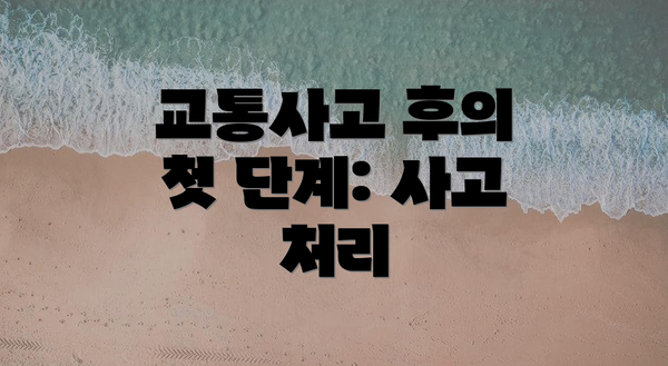교통사고 후의 첫 단계: 사고 처리