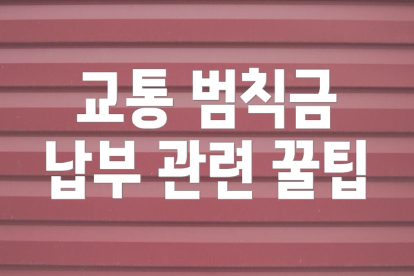 교통 범칙금 납부 관련 꿀팁