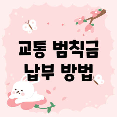 교통 범칙금 납부 방법