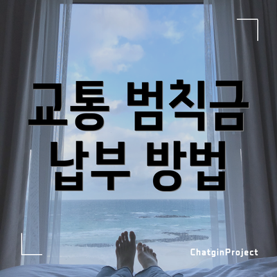 교통 범칙금 납부 방법