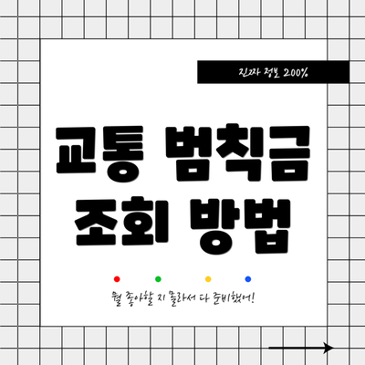 교통 범칙금 조회 방법