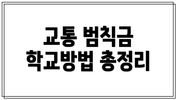 교통 범칙금 학교방법 총정리