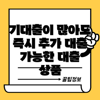 기대출이 많아도 즉시 추가 대출 가능한 대출 상품