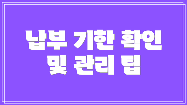 납부 기한 확인 및 관리 팁