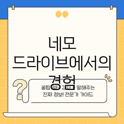 네모 드라이브에서의 경험