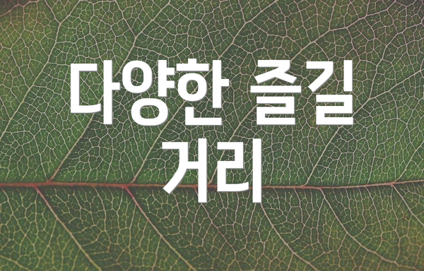 다양한 즐길 거리