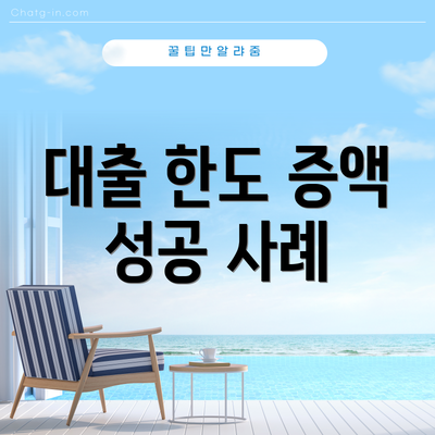 대출 한도 증액 성공 사례