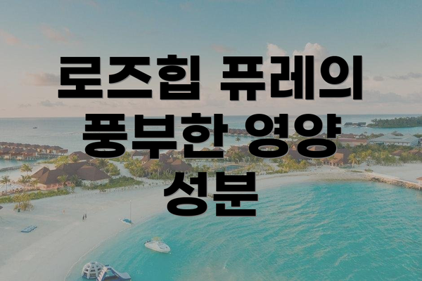 로즈힙 퓨레의 풍부한 영양 성분