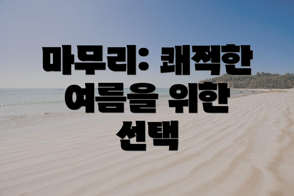 마무리: 쾌적한 여름을 위한 선택