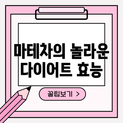 마테차의 놀라운 다이어트 효능