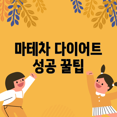 마테차 다이어트 성공 꿀팁
