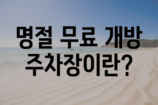 명절 무료 개방 주차장이란?
