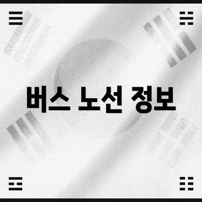 버스 노선 정보