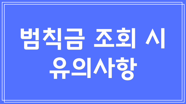 범칙금 조회 시 유의사항