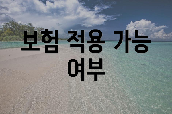 보험 적용 가능 여부