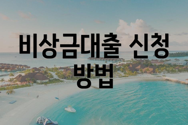 비상금대출 신청 방법