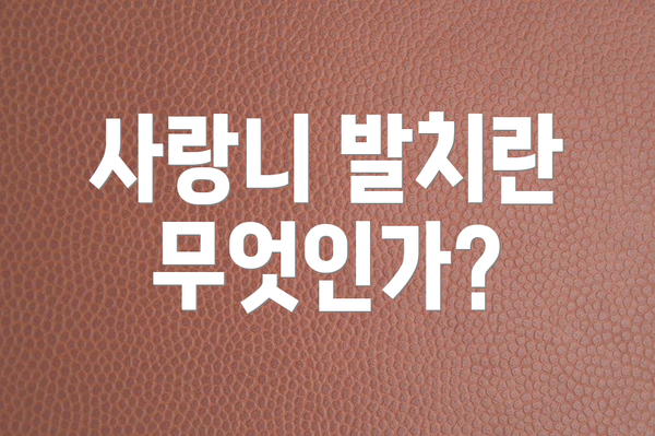 사랑니 발치란 무엇인가?
