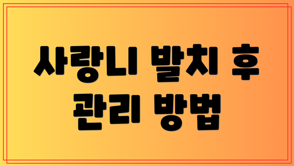 사랑니 발치 후 관리 방법