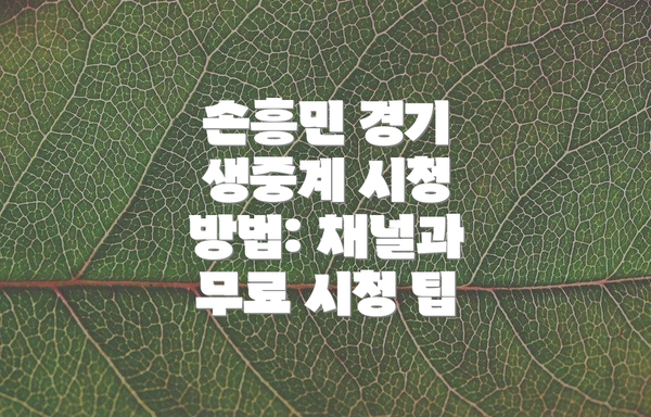 손흥민 경기 생중계 시청 방법: 채널과 무료 시청 팁