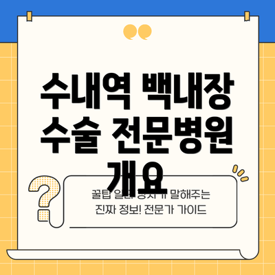 수내역 백내장 수술 전문병원 개요