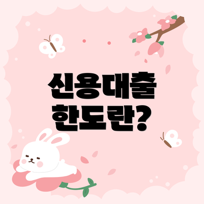 신용대출 한도란?