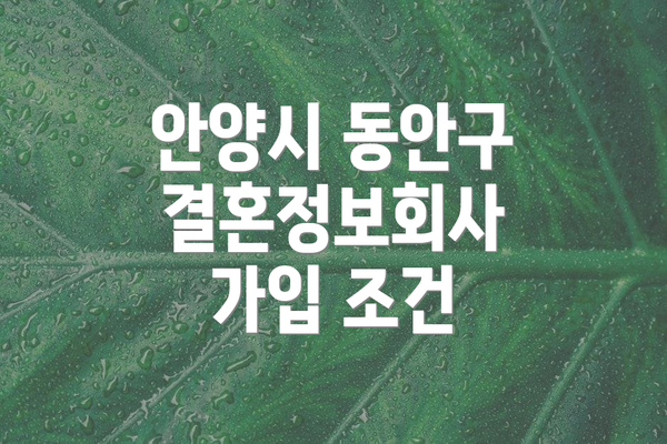 안양시 동안구 결혼정보회사 가입 조건