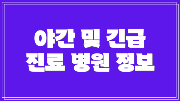야간 및 긴급 진료 병원 정보