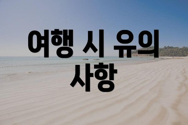 여행 시 유의 사항