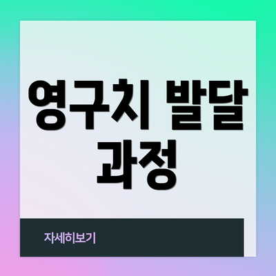 영구치 발달 과정