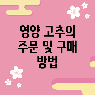 영양 고추의 주문 및 구매 방법