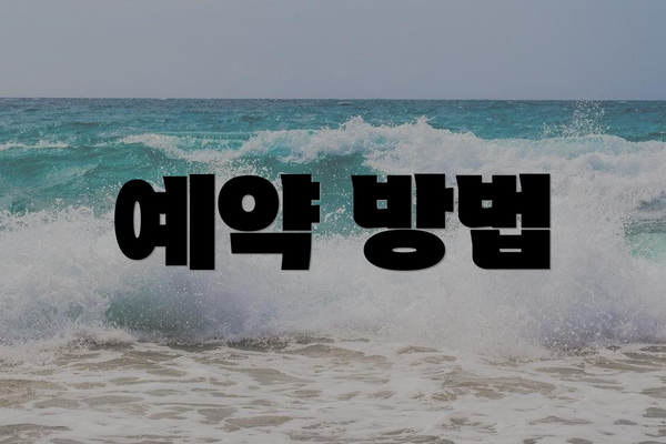 예약 방법