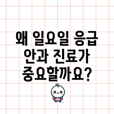 왜 일요일 응급 안과 진료가 중요할까요?