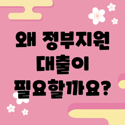왜 정부지원 대출이 필요할까요?