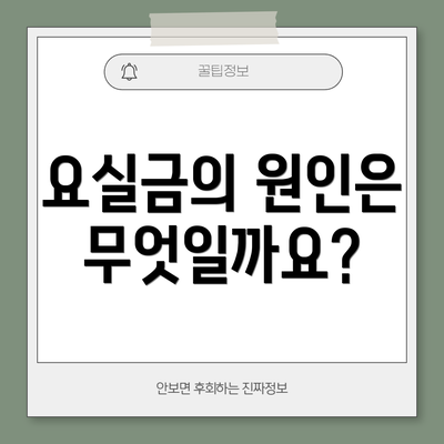 요실금의 원인은 무엇일까요?