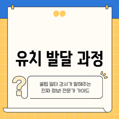 유치 발달 과정