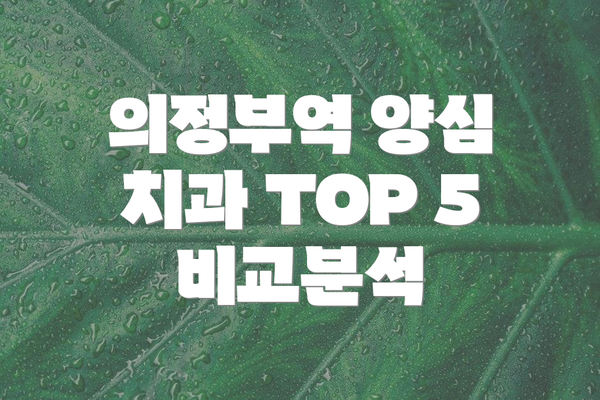 의정부역 양심 치과 TOP 5 비교분석