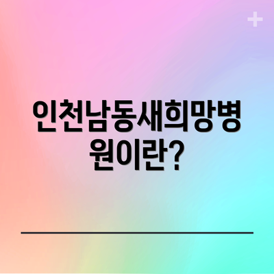 인천남동새희망병원이란?