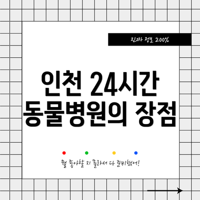 인천 24시간 동물병원의 장점