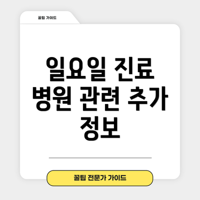 일요일 진료 병원 관련 추가 정보