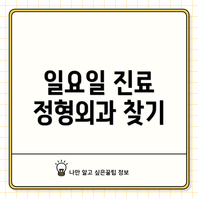 일요일 진료 정형외과 찾기