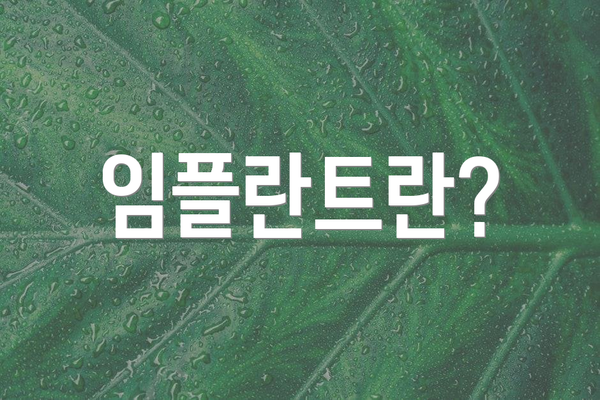 임플란트란?