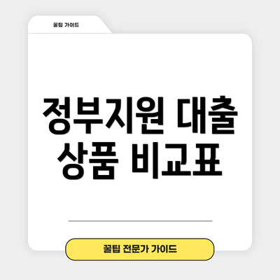 정부지원 대출 상품 비교표
