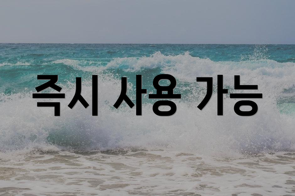 즉시 사용 가능