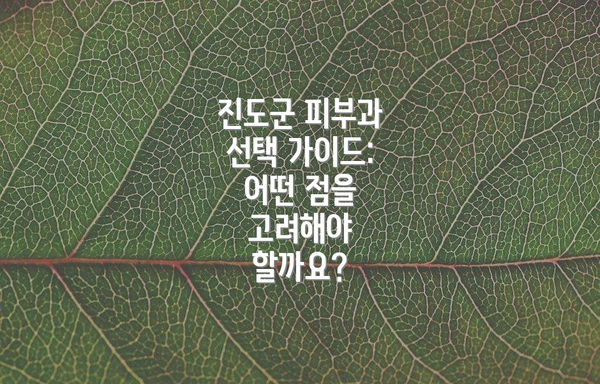 진도군 피부과 선택 가이드: 어떤 점을 고려해야 할까요?
